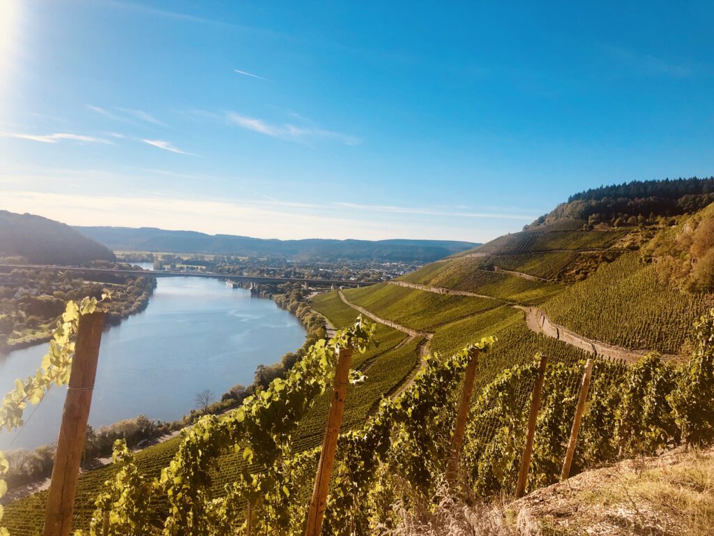 Beitragsbild zum Beitrag „Schöne Herbstferien!“