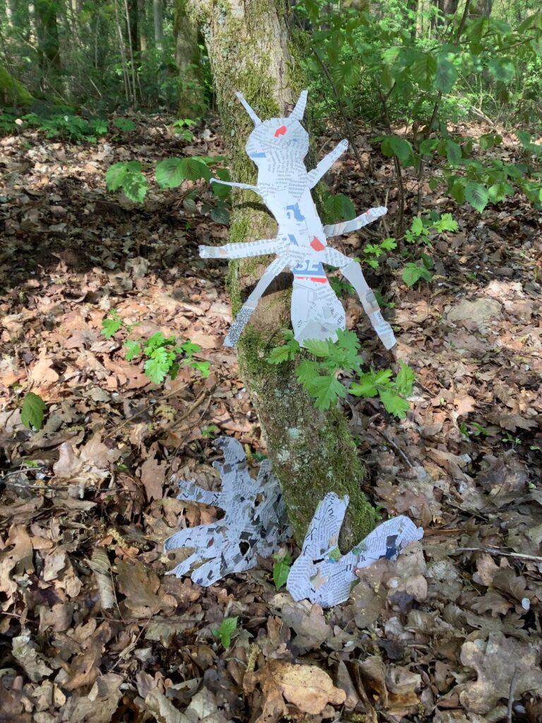 Beitragsbild zum Beitrag „Zum Schuljahresende: WALD!“