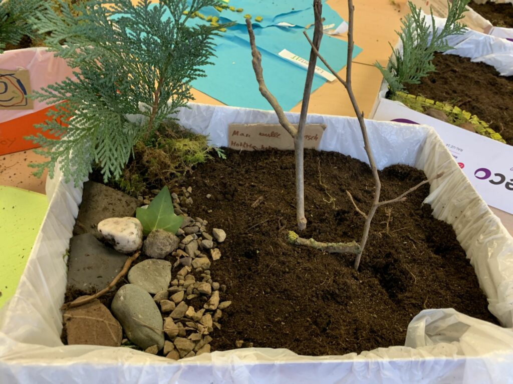 Beitragsbild zum Beitrag „Miniatur-Natur“