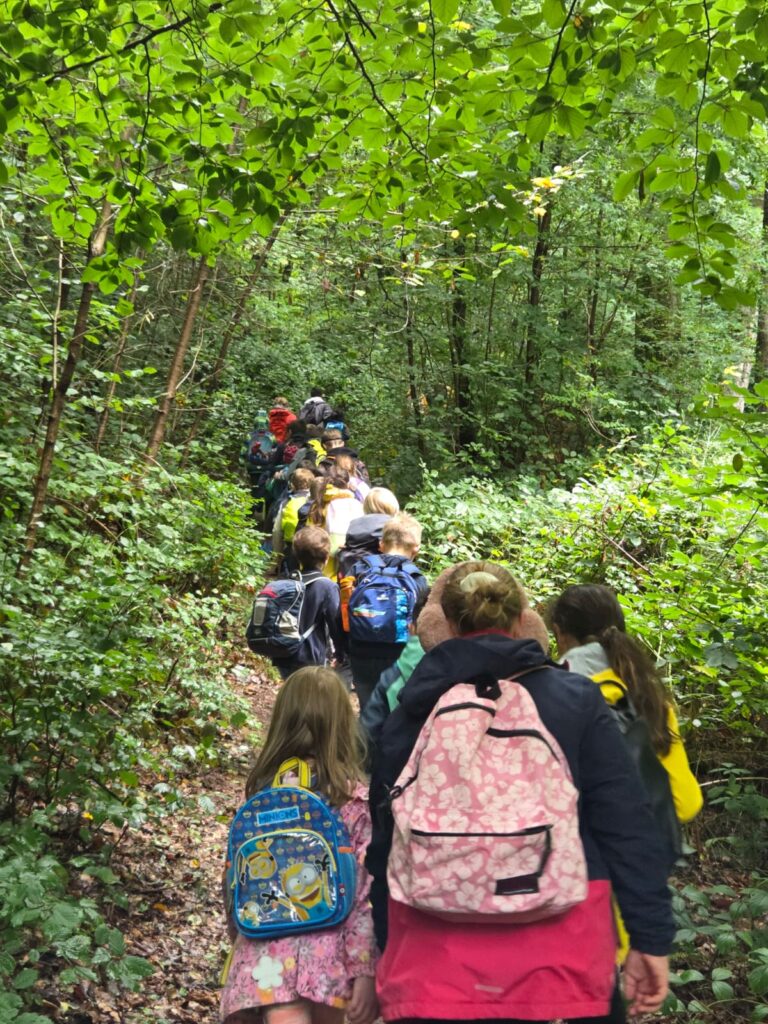 Beitragsbild zum Beitrag „Wandertag im Meulenwald – Gemeinsam unterwegs“