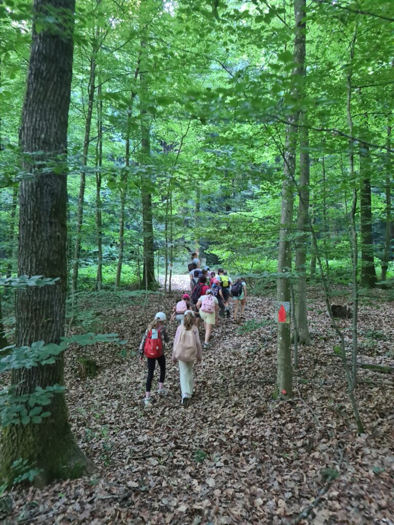 Beitragsbild zum Beitrag „Waldjugendspiele 2025“